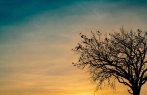 Grief Quotes for Overcoming Loss and Workplace Grievance Grief Quotes for Overcoming Loss and Workplace Grievance