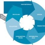 The circular economy_Beyond Waste- What Project Management Can Do Today