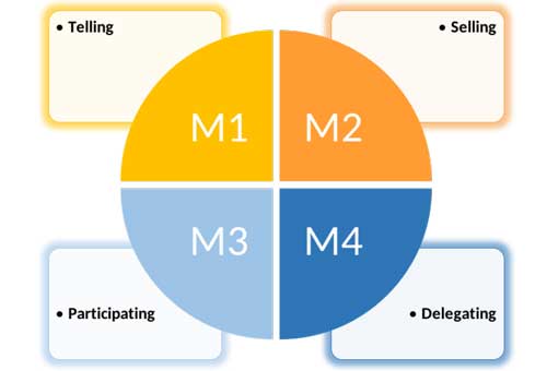 Amazing 30 Somethings: Building your Situational Leadership